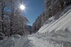 Winter-Wanderweg