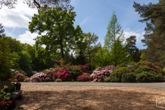 Ein Spaziergang durch den Hobbie Rhododendronpark bei Westerstede