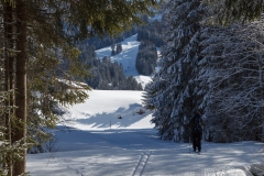 Ski-Langlauf in Balderschwang