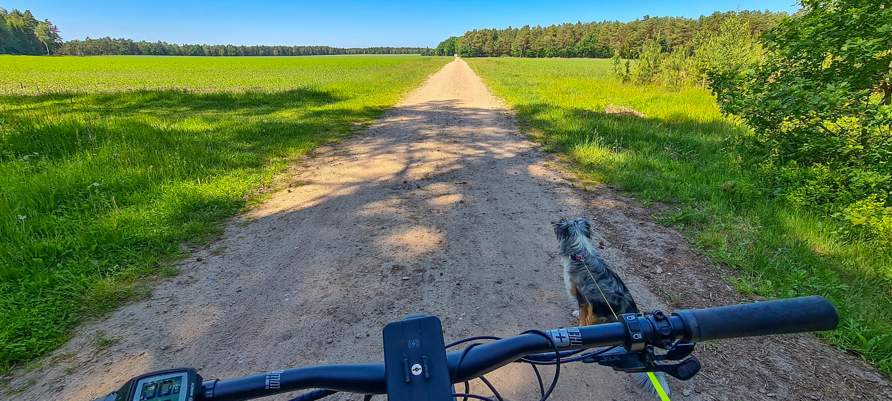 Radtour in der Lüneburger Heide bei Soltau