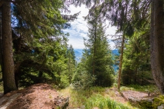 Blick vom Meraner Höhenweg ins Tal