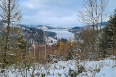 Blick auf den Granestausee bei Goslar