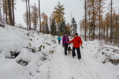 Schneespaziergang bei Goslar