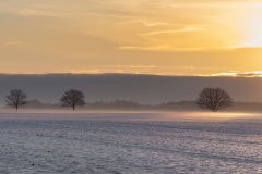 Sonnenuntergang in Borstorf