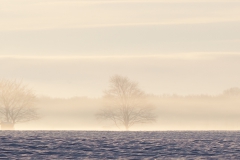 Morgens in Borstorf