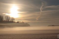 Morgenidylle in Schleswig-Holstein