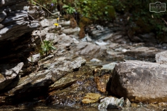 Kleiner Wasserlauf im Großarltal