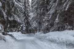 Geräumte Wanderwege