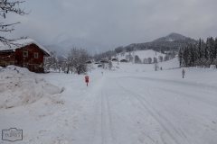 Loipen in Werfenweng