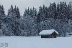 Futterhütte