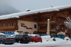 Hotel Wenger Alpenhof