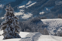 Bergwelt im Schnee