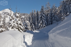 Wanderweg zur Strussingalm