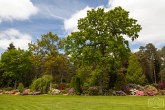 Ein Spaziergang durch den Hobbie Rhododendronpark bei Westerstede