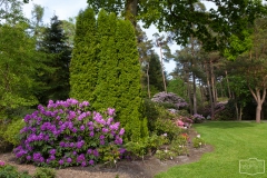 Ein Spaziergang durch den Hobbie Rhododendronpark bei Westerstede