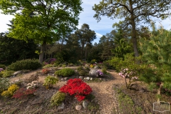 Ein Spaziergang durch den Hobbie Rhododendronpark bei Westerstede