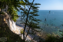 Spaziergang an der Kalkküste auf Rügen