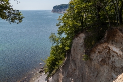 Spaziergang an der Kalkküste auf Rügen