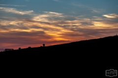 Schafe bei Sonnenuntergang auf Nordstrand