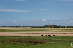 Landschaft auf Nordstrand