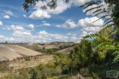 Gegend bei San Gimignano (Toskana)