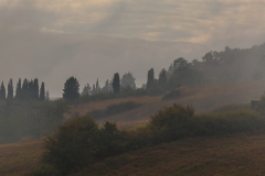 Gegend bei Radifocani (Süd-Toskana)
