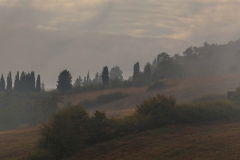 Gegend bei Radifocani (Süd-Toskana)