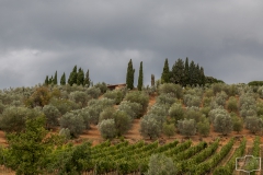 Val d'Orcia