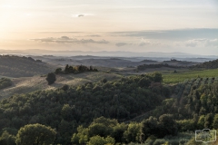 Landschaft bei Trequanda