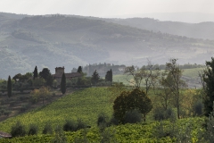 Blick vom Stellplatz in Panzano