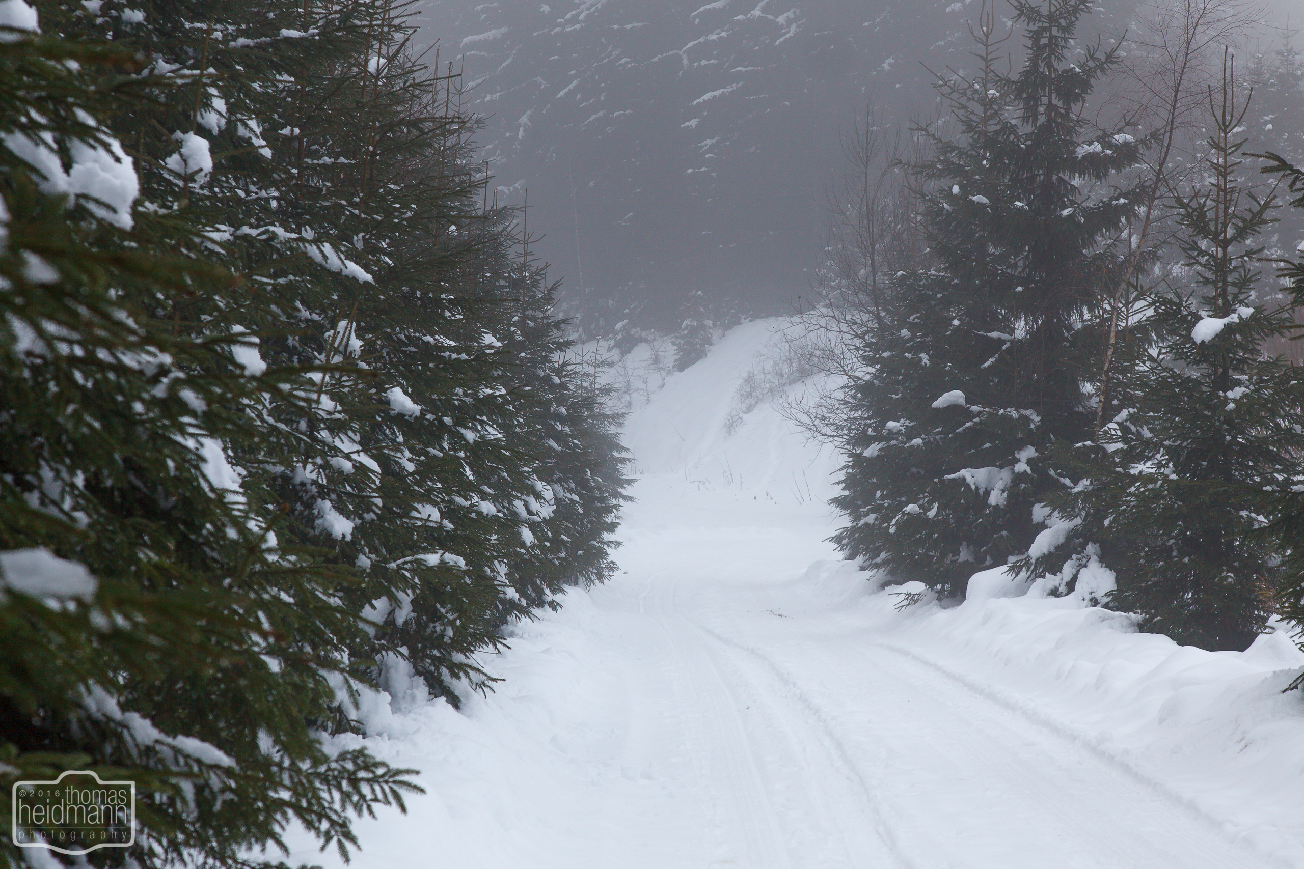 Winterwanderweg bei Braunlage im Harz