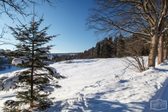 Winterlandschaft bei Braunlage im Harz