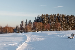 Winterlandschaft bei Braunlage im Harz