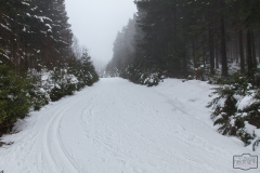 Winterwanderweg bei Braunlage im Harz