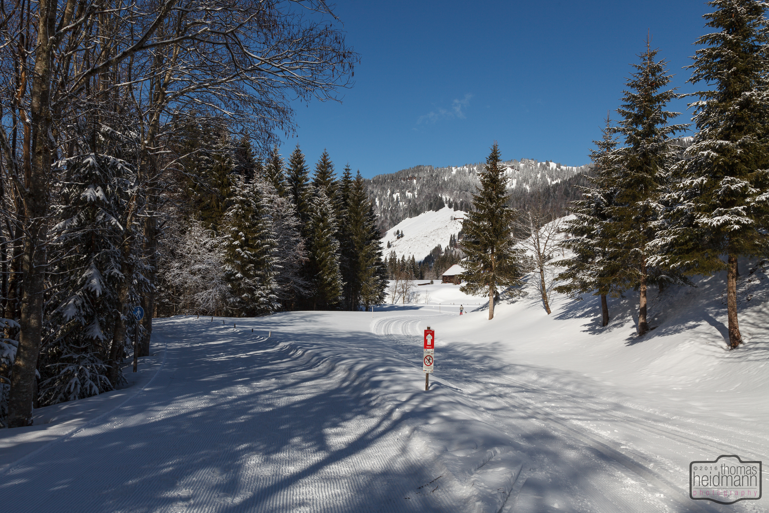 Winterwandern und Ski-Langlauf in Balderschwang