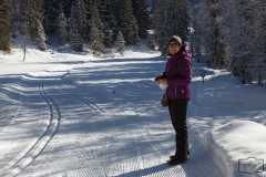 Winterwandern und Ski-Langlauf in Balderschwang