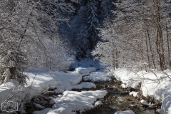 Winterlandschaft in Balderschwang im Allgäu