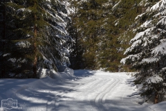 Loipen in Balderschwang