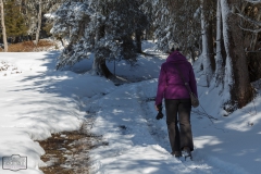 Winterwandern in Balderschwang