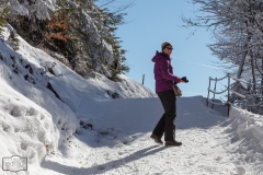 Winterwanderwege in Balderschwang im Allgäu