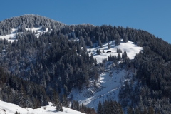 Winterlandschaft in Balderschwang im Allgäu