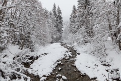 Winterlandschaft in Balderschwang im Allgäu