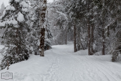 Winterwanderwege in Balderschwang im Allgäu