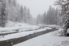 Winterlandschaft in Balderschwang im Allgäu