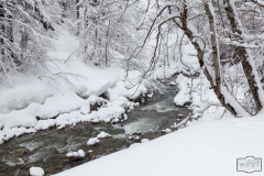 Winterlandschaft in Balderschwang im Allgäu