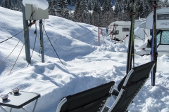 Sonnenanbeter lieben den Schnee