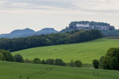 Blick zur Festung Königstein