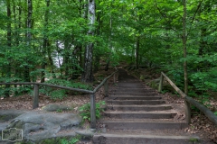 Wanderung zur Bastei im Elbsandsteingebirge