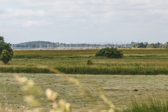 Blick auf den Yachthafen von Maasholm