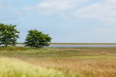 Naturschutzgebiet an der Schleimündung/Ostsee